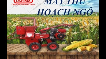 Video về động cơ đốt trong của tổ 2-11a1