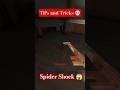 SPIDER SHOCKED😱 #short #soonTop 3 Secrets Of Granny Game That Most People Miss..