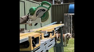 Lockdown project 2021.Portable saw bench with removable extension wings and storage. Sydney Aus.