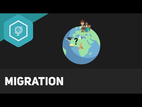 Video: Internationale Integration. Definition, Ursachen, Erscheinungsformen