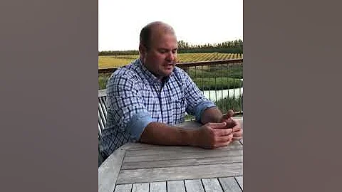 James Downes Shannon Vineyard Elgin South Africa