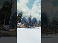 BEST BIRD ARK