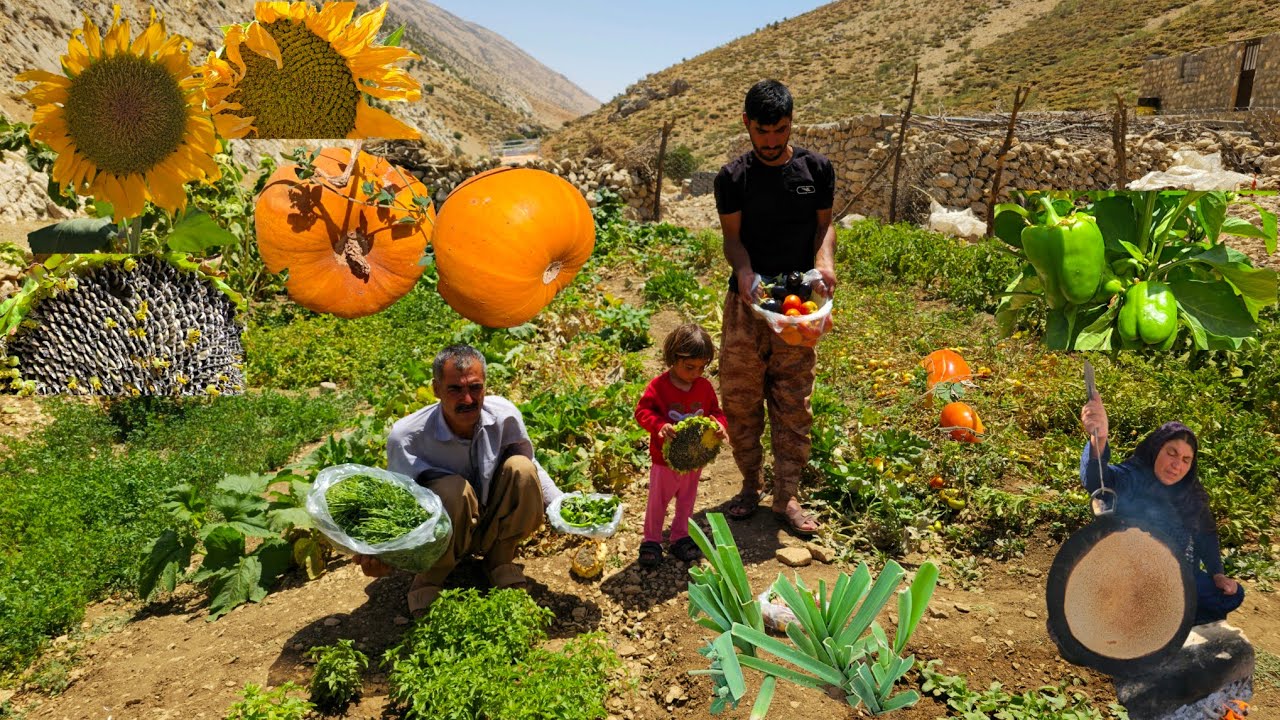 🍇🌶🫑Сбор урожая кочевого сада в горах 🌿 | Кочевая жизнь со свежей домашней едой 🫑🧅