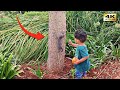 Best Buddies: Watch a Cat and Child Share Joyful Moments #cat #catvideos