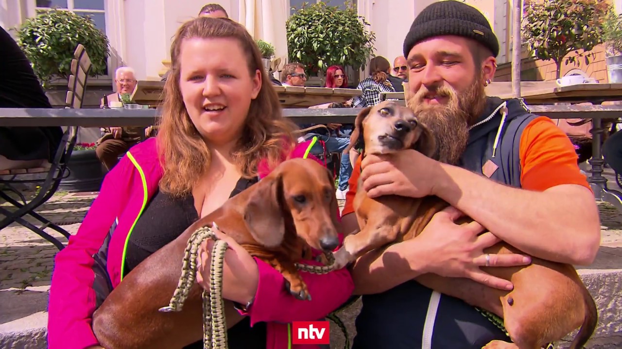 Alles für den Dackel | n-tv - YouTube