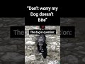 When They Say the Dog Won’t Bite… Skyrim Edition 🐺💀