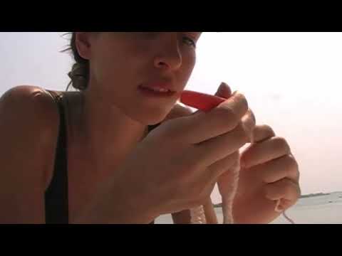 Cuando fuimos a Tlacotalpan - vlog