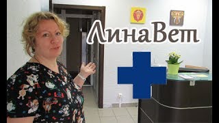 Открытие ветеринарной клиники Лина Вет. Открытие ветеринарной клиники Лина Вет.