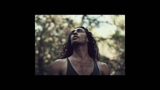 Operadomus Marco Delle Foglie