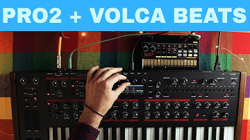 DSI PRO 2 + KORG VOLCA BEATS ~ Will They Pair? Ep.16