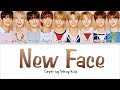 Stray kids  new face cover of psy color coded hanromeng lyrics