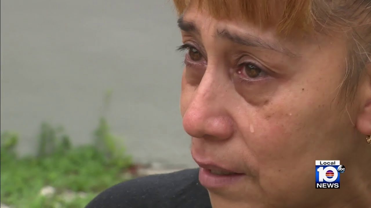 Woman's dogs to be euthanized after attack in Miami - YouTube