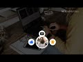 YouTube Buttons Pack Social Media Engagement Kit Dynamic Interactive Overlays