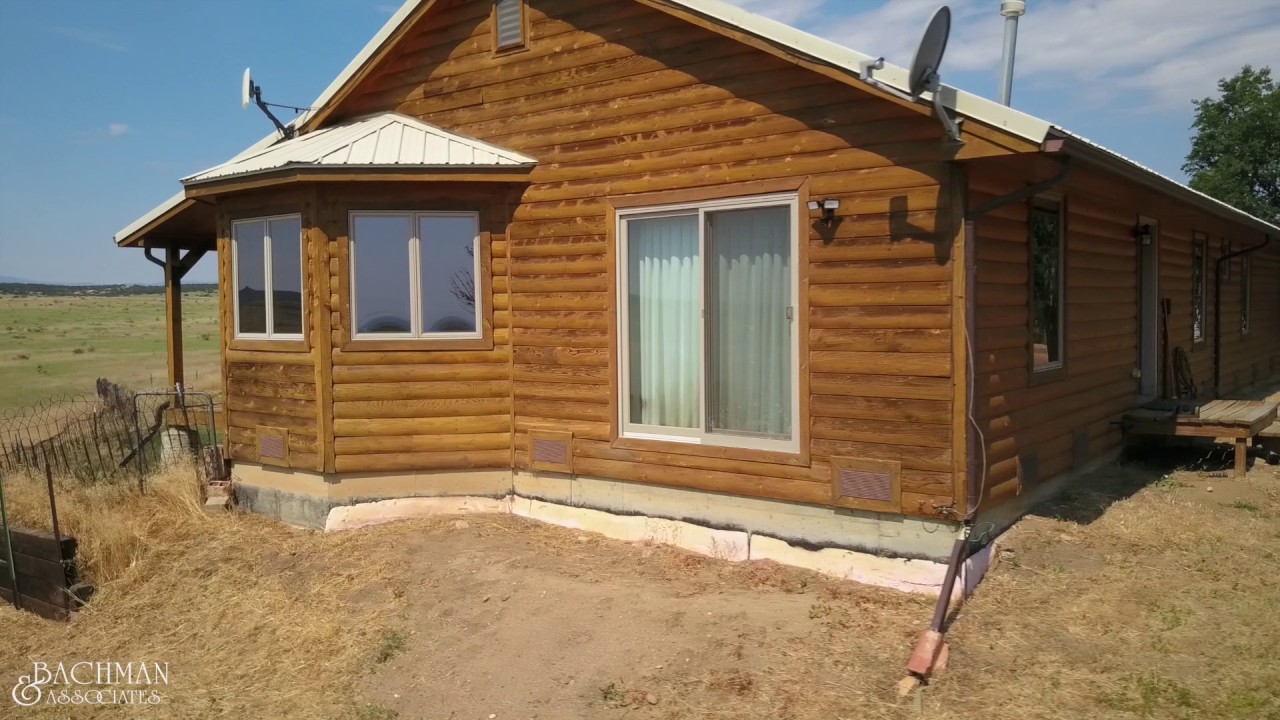 Big Tree Ranch Big Tree Ranch - YouTube