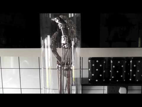 Sideshow Terminator 2