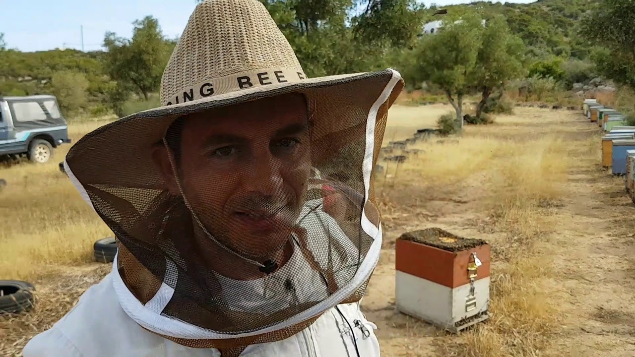 Μεταφορά στα θυμάρια + Σκάσιμο μελισσιού!!!