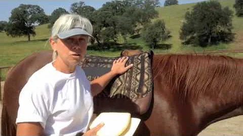 Parelli Saddles' New Smart Pad Testimonial by Jody...