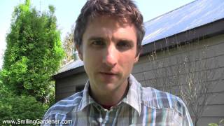 Using Soil Inoculant To Make Your Plants Healthier