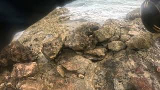 4.2Lb Nenue Fun, Solo Evening Run