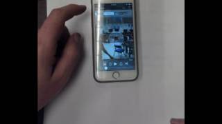 Graphing Free Fall