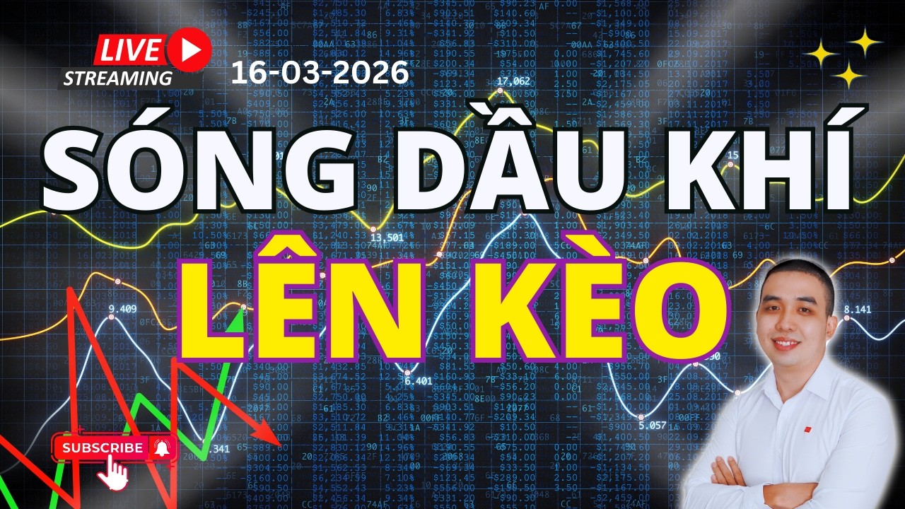 Lên kèo liên tục: Nhận định thị trường hàng ngày, phân tích ngành, sóng siêu uptrend