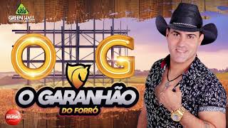 7 - Garanhão  do Forró - A Sua Maneira | Tô Na Midia Music 2020