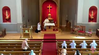Wednesday of the Fifteenth Week in Ordinary Time, 15 July 2026