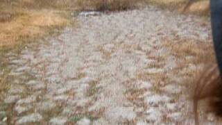 DSCF2148.AVI
