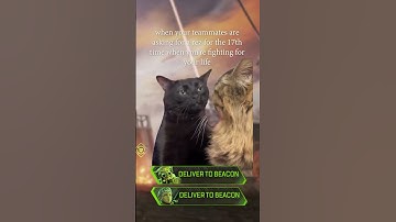 the most relatable apex clip