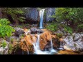 Relaxing Music with Water Sounds, Bird Sound,Stress Relief, Sleep, Meditation Music