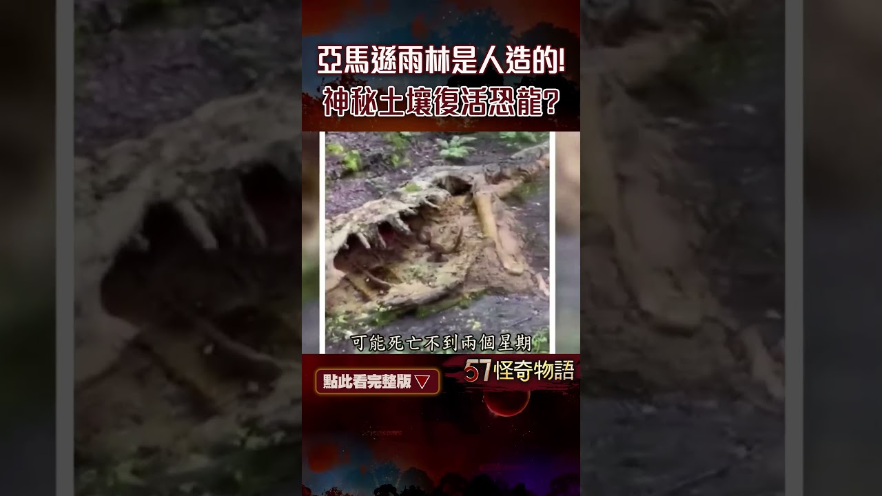 亞馬遜雨林是人造的！2500年前高度發展地球上無法解釋…神秘土壤復活恐龍？【57怪奇物語】‪@57StrangerThings‬ #shorts # 亞馬遜雨林#禁區#特種生物- YouTube