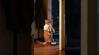 This Poor Cat Has a Horrible Life 😿 #cats #trendingshorts #orangecat #aicatstories