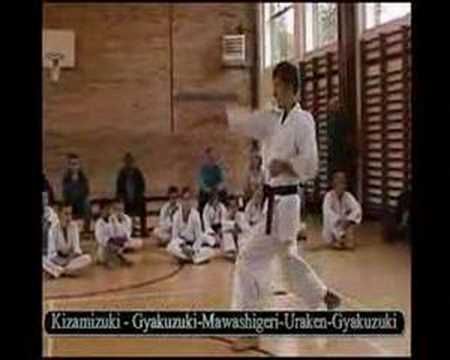 Shotokan Karate Brown & Black Belt Kihon Combination