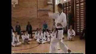 Shotokan Karate Brown & Black Belt Kihon Combination