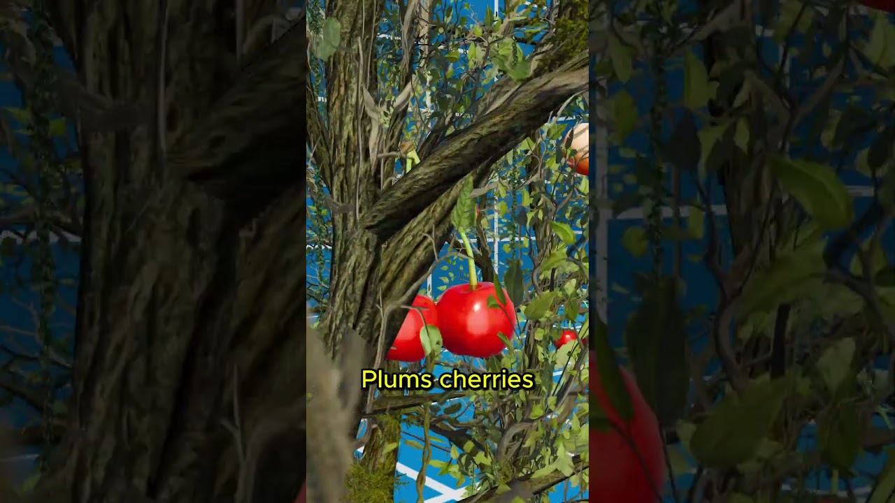 One tree, 40 different fruits