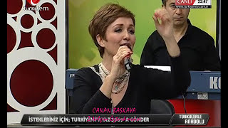 Sen Gelmezsen Arguvan'a Gidemem / ( Ben böyle diyarı neylerim sensiz) -Canan Başkaya Resimi