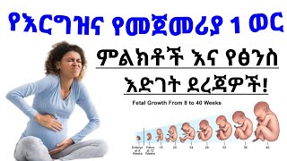 የእርግዝና የመጀመሪያ 1 ወር ምልክቶች እና የፅንሱ የእድገት ደረጃ| 1 Month pregnancy symptoms and fetal developments