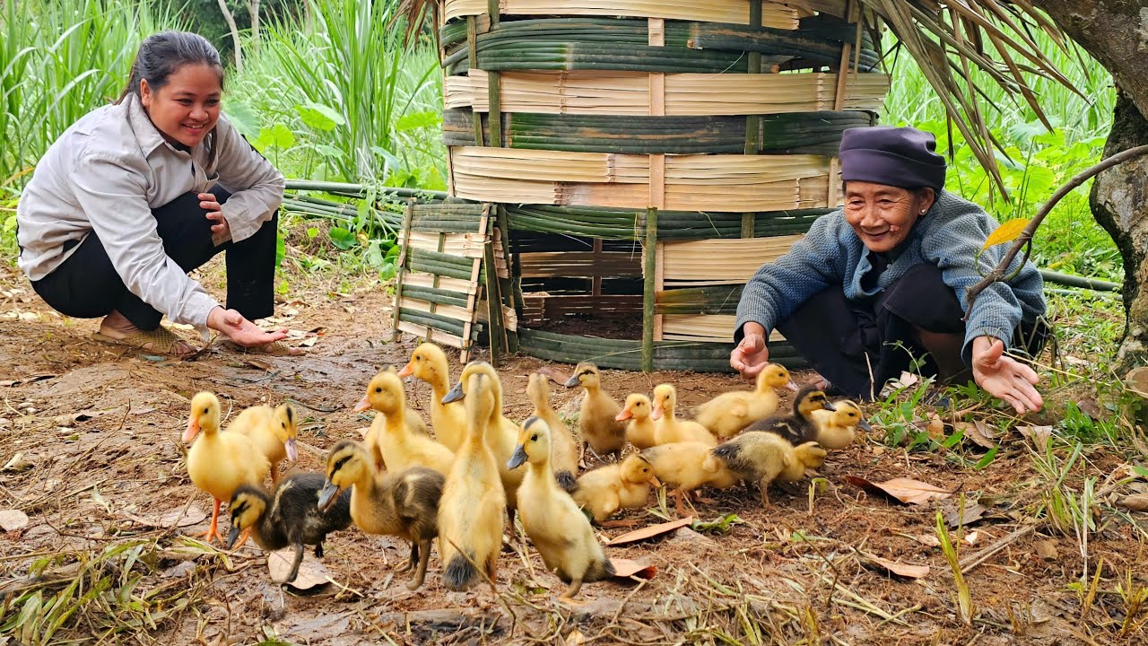 The homeless girl and the old woman were very happy when they finished the duck coop.