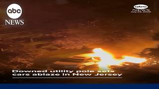 Downed utility pole sets cars ablaze in New Jersey