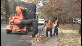 Burlington Leaf Collection