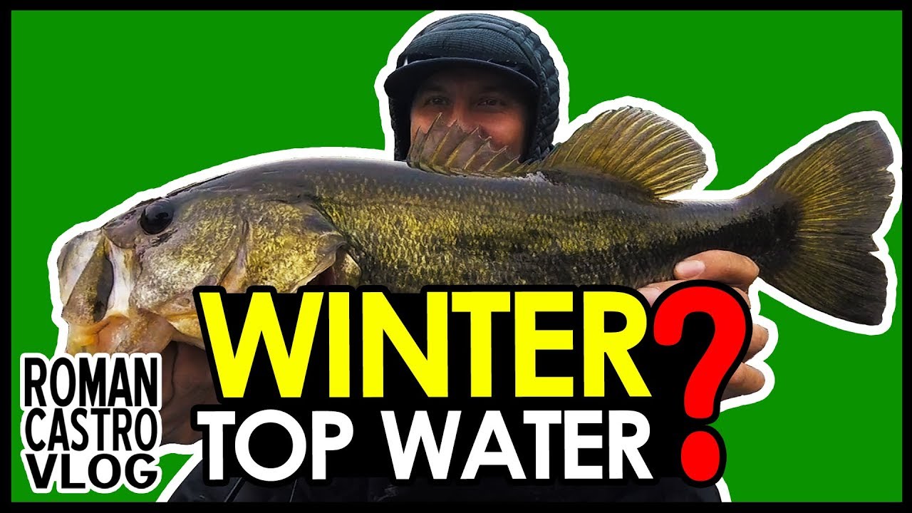 Winter Topwater Fishing Secret Bait Revealed! YouTube
