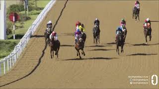 Vidéo de la course PMU PRIX PLAY SOCCER 6, 10 AND 13 MAIDEN PLATE