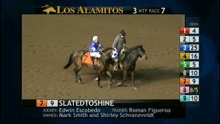 Los Alamitos Replays - Sunday, January 11, 2026 - Race 7