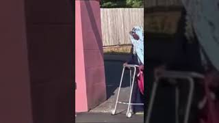 On The Way To The Dwp, To Claim Pip