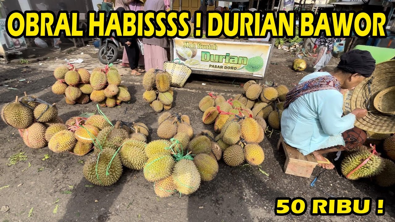 MURAH MERIAH ! HARGA DURIAN BAWOR DI PASAR DORO CUMA 5O RIBU AJA ...