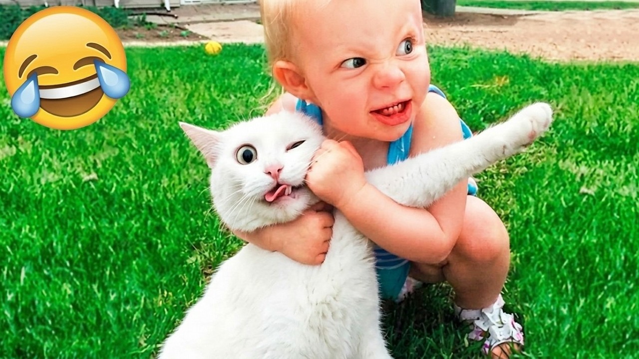 These Cats Are Too Funny 😂🐱 | New Cat Videos 2026 Pop Cat Laugh - YouTube