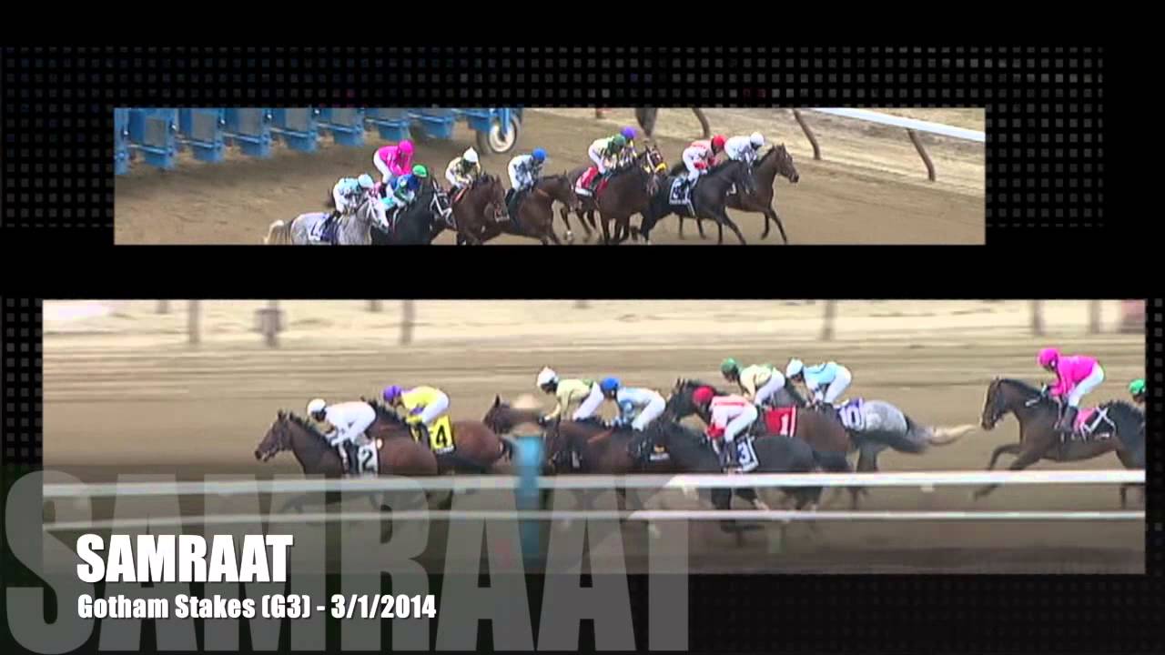 Noble Causeway SAMRAAT! YouTube