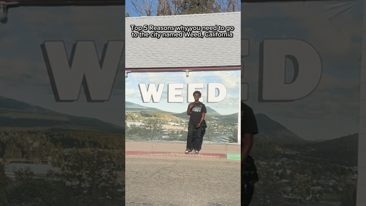 Top 5 Reasons why you need to go to Weed, California 