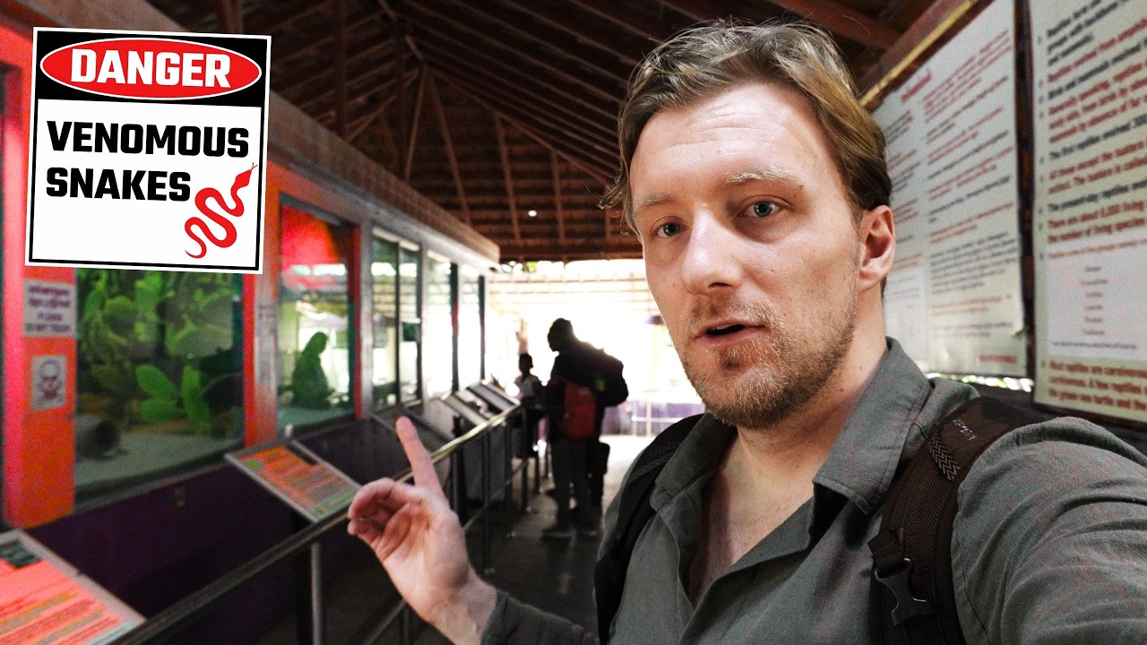 These Snakes Kill 50,000 People Every Year..Exploring Chennai Snake Park