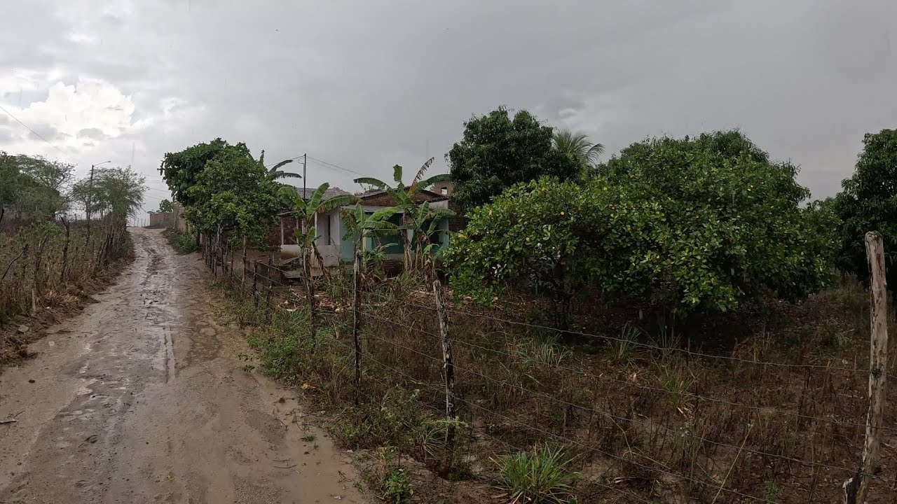 UMA CHUVADA MARAVILHOSA NO SÍTIO, MUITO CALOR, TEMPO ABAFADO, ESTÁVAMOS PRECISANDO